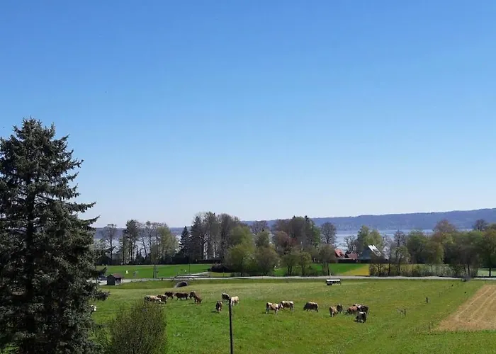 In Bierdorf Im Erdgeschoss Lejlighed *
